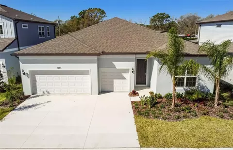 12113 Orchid Ash St, Riverview, FL 33579