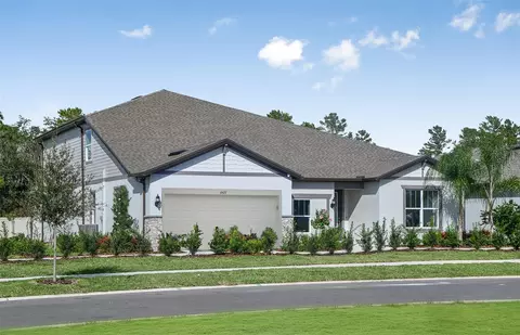 12047 Orchid Ash St, Riverview, FL 33579