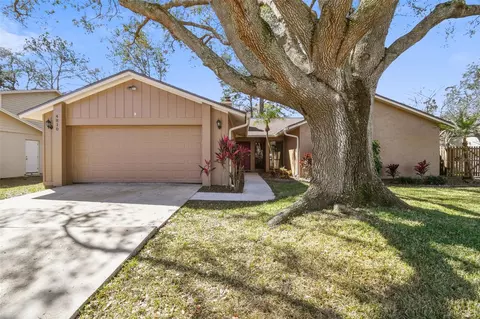 4810 Fox Hunt Dr, Tampa, FL 33624