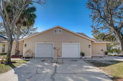 4423 Pine Meadow Ct, Tampa, FL 33624