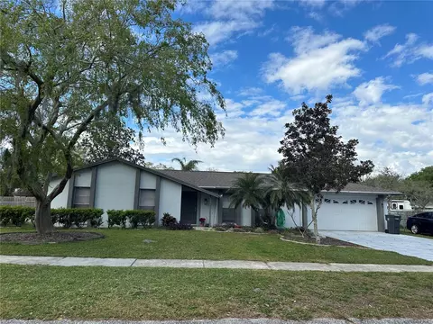 3318 Las Brisas Dr, Riverview, FL 33578
