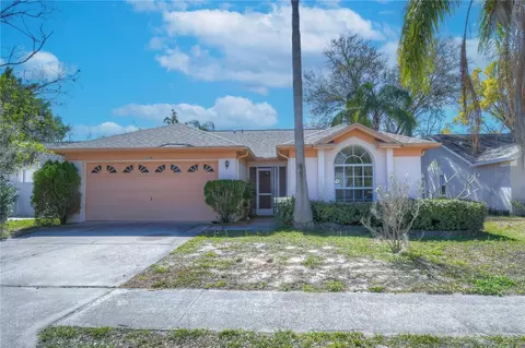 3134 Sean Way, Palm Harbor, FL 34684