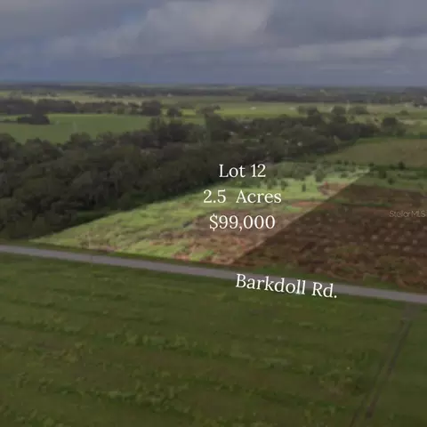 0 Barkdoll Rd #LOT 12, Bowling Green, FL 33834