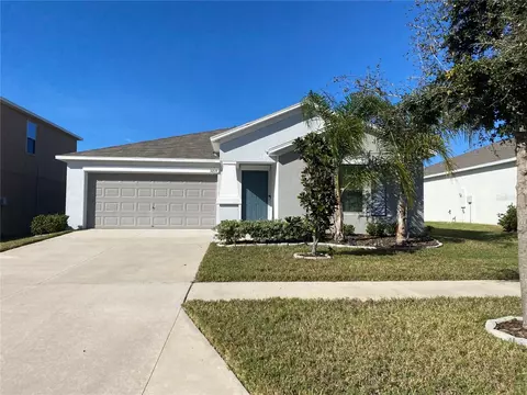 10519 Strawberry Tetra Dr, Riverview, FL 33578