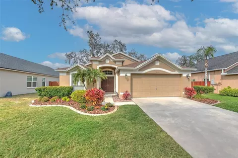 2622 Vinedale Ave, Valrico, FL 33596