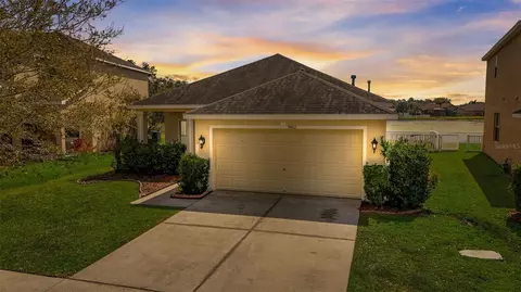 9462 Leatherwood Ave, Tampa, FL 33647