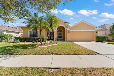 8225 Swann Hollow Dr, Tampa, FL 33647
