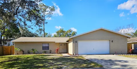 4019 Orangefield, Valrico, FL 33596