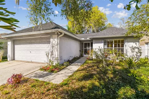 1130 Bloom Hill Ave, Valrico, FL 33596