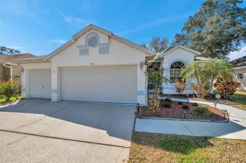 1765 Wood Haven St, Tarpon Springs, FL 34689