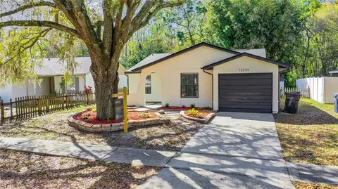 12336 Witheridge Dr, Tampa, FL 33624