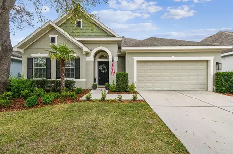 15814 Starling Water Dr, Lithia, FL 33547