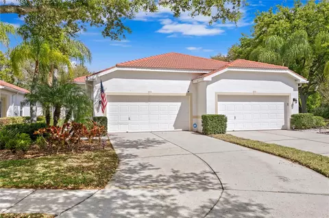 10262 Devonshire Lake Dr, Tampa, FL 33647