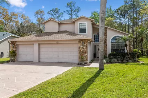 16001 Royal Aberdeen Pl, Odessa, FL 33556