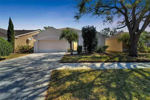 12256 Dawn Vista Dr, Riverview, FL 33578