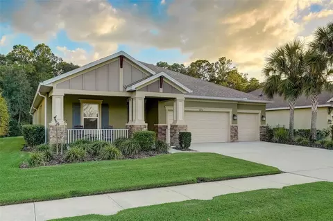 26712 Fiddlewood Loop, Wesley Chapel, FL 33544