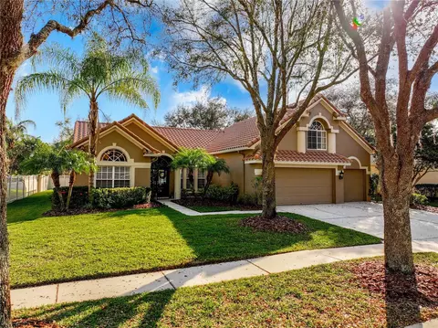 9339 Deer Creek Dr, Tampa, FL 33647