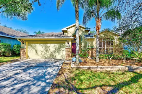 422 Down Pine Dr, Seffner, FL 33584