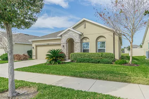 11944 Greenchop Pl, Riverview, FL 33579