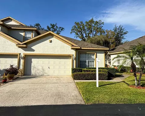 1309 Big Pine Dr, Valrico, FL 33596