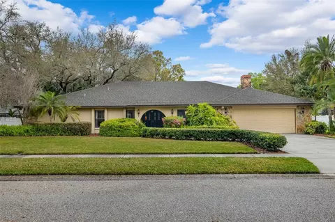 11004 Theresa Arbor Dr, Temple Terrace, FL 33617