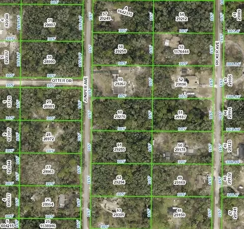 7068 Juniper Ave, Webster, FL 33597