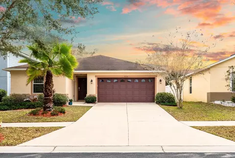 11133 Goldenrod Fern Dr, Riverview, FL 33569