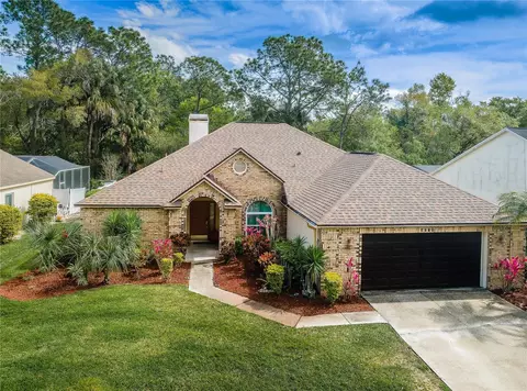 3738 Hollow Wood Dr, Valrico, FL 33596