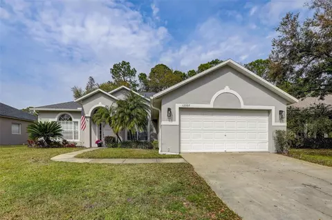 12537 Leatherleaf Dr, Tampa, FL 33626