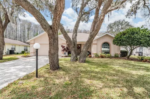 10507 Quimby Dr, Port Richey, FL 34668