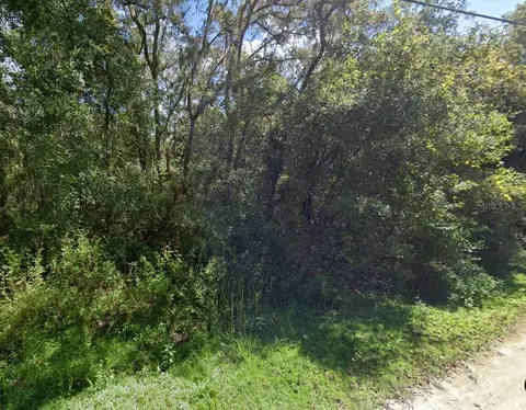 Canella St, New Port Richey, FL 34654