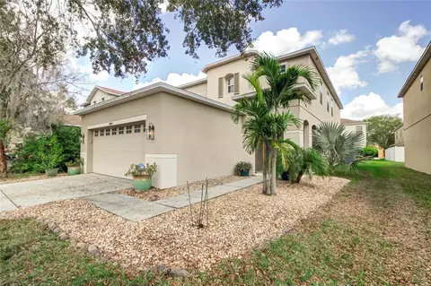 19605 Timberbluff Dr, Land O Lakes, FL 34638