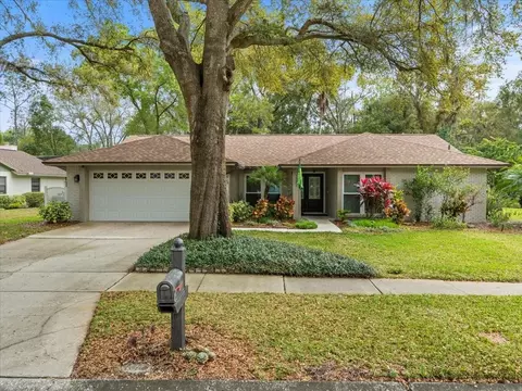 16801 Bellwood Mnr, Tampa, FL 33618