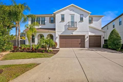 2607 Milford Berry Ln, Tampa, FL 33618