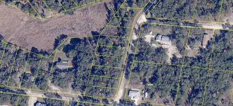 89 Webster Avenue, Webster, FL 33597