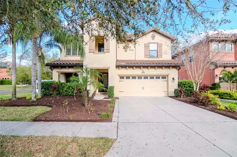 2616 Calvano Dr, Land O Lakes, FL 34639