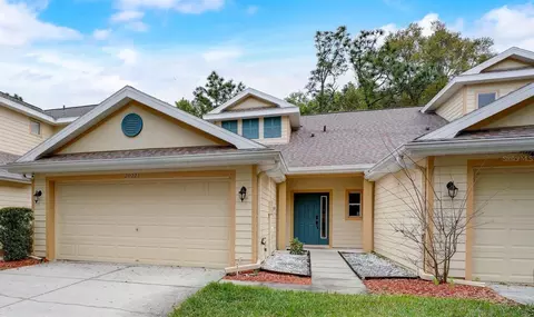 20223 Vintage Oaks Pl, Tampa, FL 33647