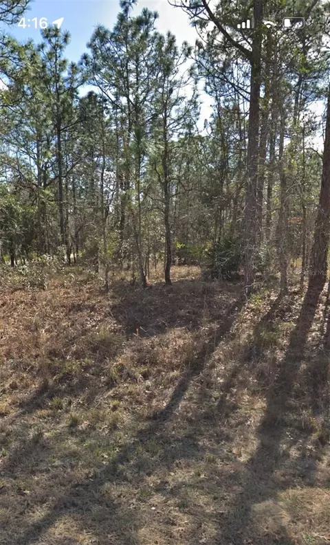 13398 Sooty Tern Ave, Weeki Wachee, FL 34614