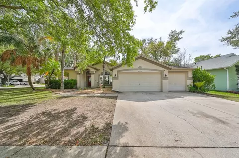 4517 Compass Oaks Dr, Valrico, FL 33596