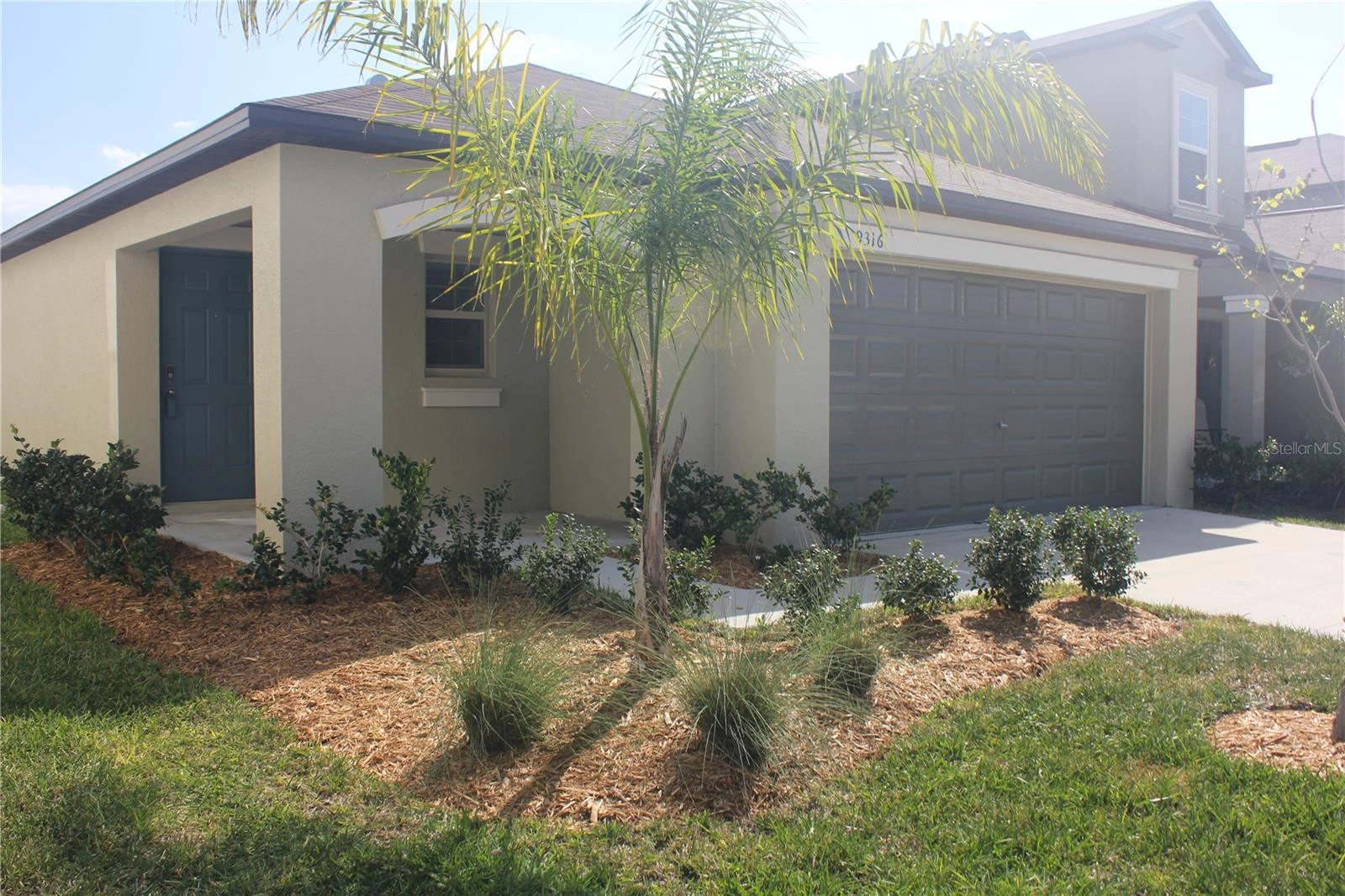 9316 LEMON DROP Loop  