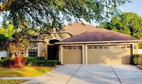 3209 Hanging Vine Ct, Land O Lakes, FL 34639