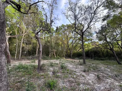11957 Minnieola Dr, New Port Richey, FL 34654
