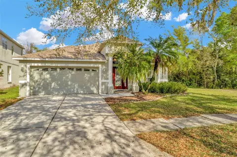 19261 Fishermans Bend Dr, Lutz, FL 33558
