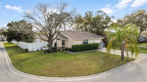 5102 Burnside Ct, Tampa, FL 33624