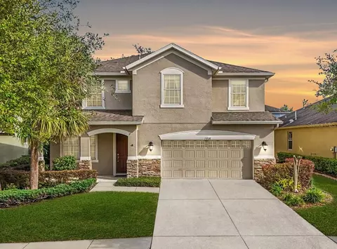 15708 Starling Dale Ln, Lithia, FL 33547