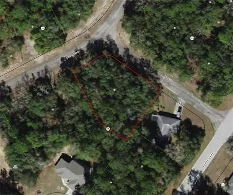 9527 N Wayland Ave, Citrus Springs, FL 34434