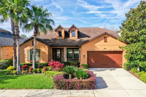 14321 Avon Farms Dr, Tampa, FL 33618