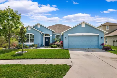18542 New London Ave, Land O Lakes, FL 34638