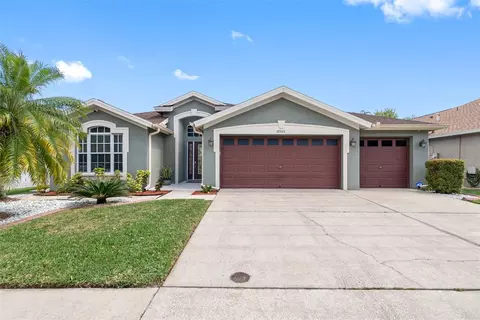 10555 San Travaso Dr, Tampa, FL 33647