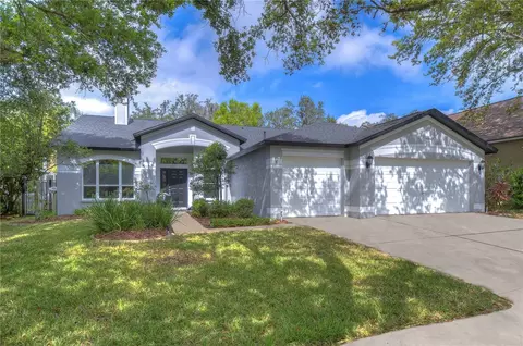 14846 Heronglen Dr, Lithia, FL 33547